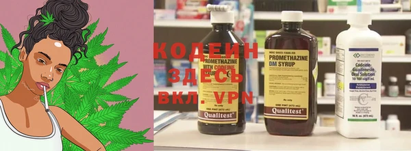 прущие грибы Горняк