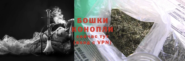 сатива Горно-Алтайск