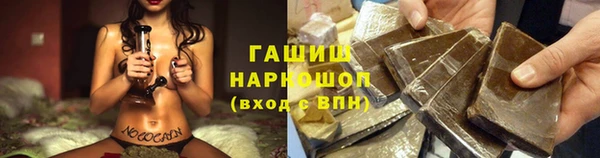 сатива Горно-Алтайск