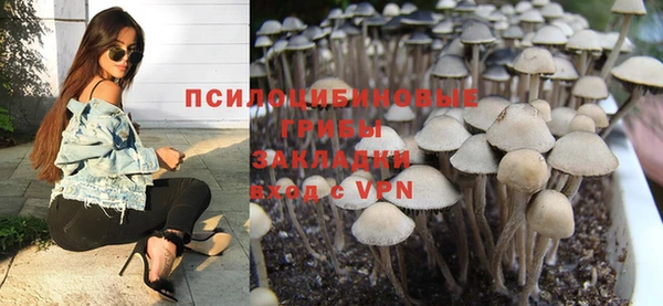 шишки Вязники