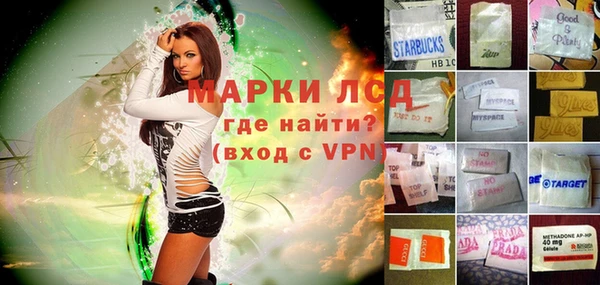 прущие грибы Горняк