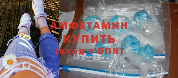 прущие грибы Горняк