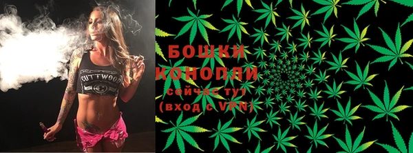 прущие грибы Горняк