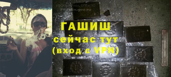 сатива Горно-Алтайск