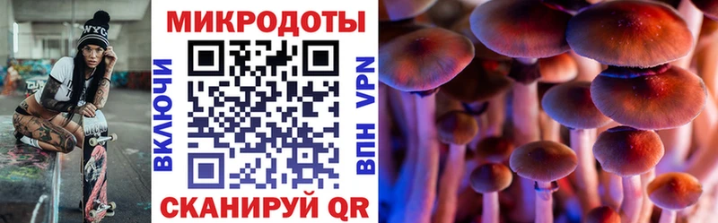 Псилоцибиновые грибы Psilocybe  Заречный 